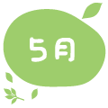 5月