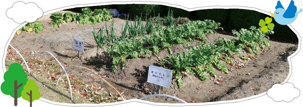 園概要・アクセス